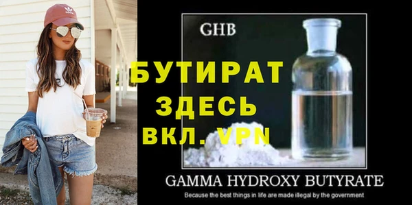 сатива Новодвинск