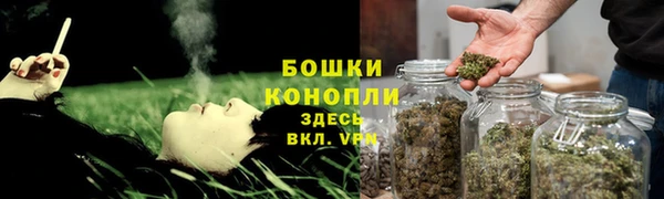 шишки Баксан