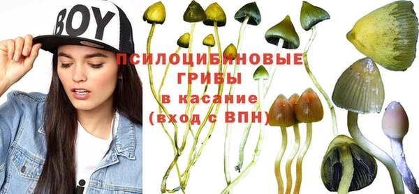 spice Арсеньев
