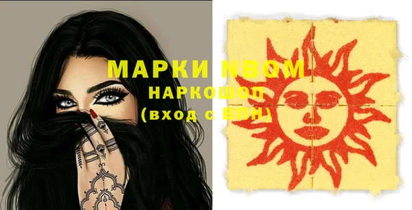 шишки Баксан
