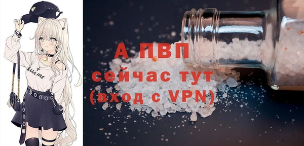spice Арсеньев