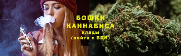шишки Баксан