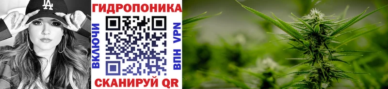 где купить наркоту  Славянск-на-Кубани  Канабис Ganja 